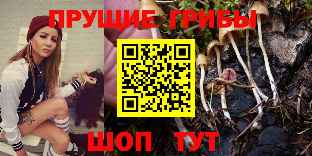 Псилоцибиновые грибы прущие грибы Арсеньев